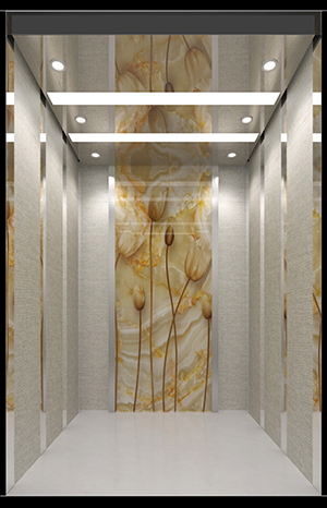 皇冠月都·悅(G2DC066）選配款