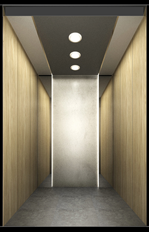 尚海風(fēng)華·悅(G2DC062）選配款